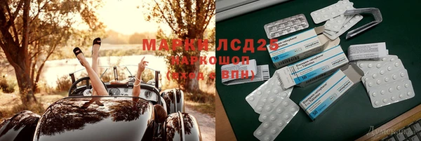 mix Снежногорск