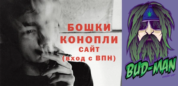 mix Снежногорск